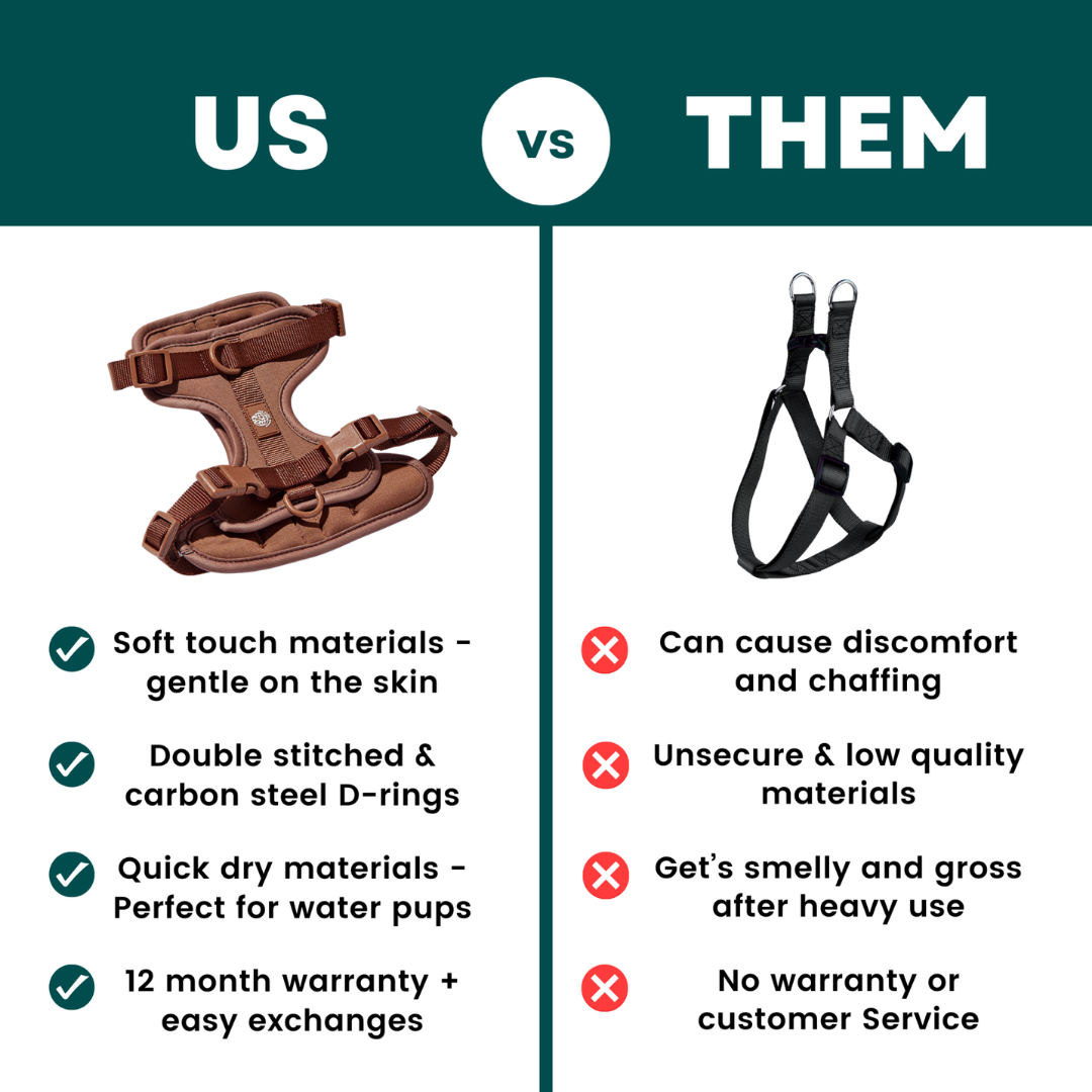 Comparison Ad Breakdown for Pet — Comparison Meta ad example for Pet