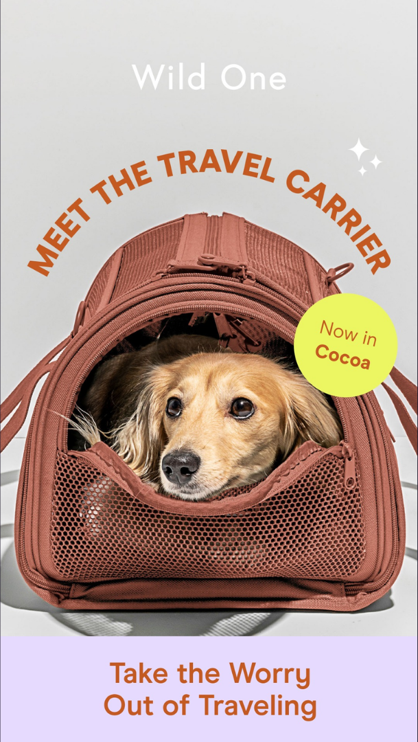 Problem/Solution Ad Breakdown for Pet Travel — Problem/Solution Meta ad example for Pet