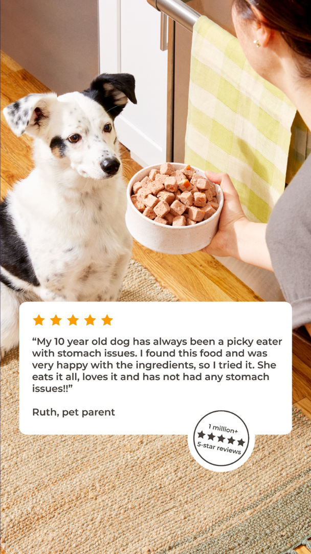 Social Proof Ad Breakdown for Pet Food — Social Proof / Testimonial Stack Meta ad example for Pet