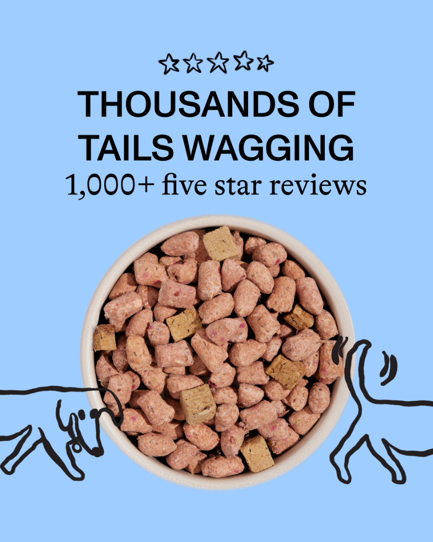 Social Proof Ad Breakdown for Pet Food — Social Proof / Testimonial Stack Meta ad example for Pet