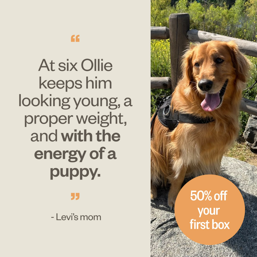 Social Proof Ad Breakdown for Pet — Social Proof / Testimonial Stack Meta ad example for Pet